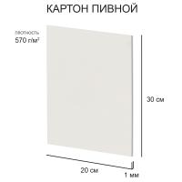 Картон пивной KLP-25, толщина 1 мм, 570 г/м2, 20 х 30 см, 1 шт