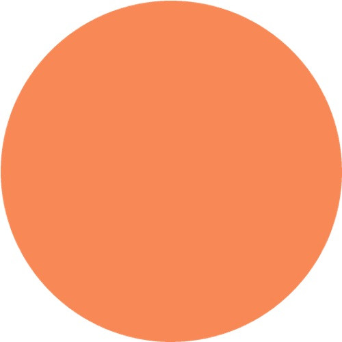 Матовая краска-спрей  Оранж от ScrapEgo, 60 мл
