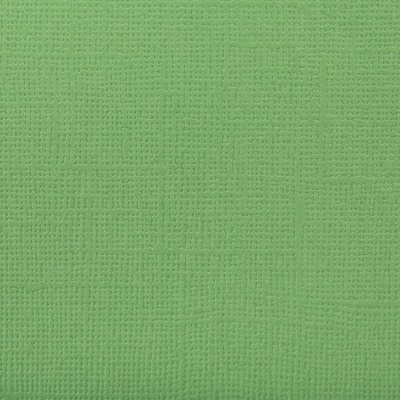 Текстурированный кардсток Авокадо (зелёный), 30,5х30,5 см, 216 г/кв.м, от Mr.Painter