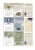 Набор двусторонней бумаги Такая разная весна, 250 г/м2 14 листов + бонус на обложке,  от Eclectica