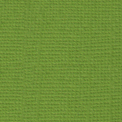 Текстурированный кардсток Оливковый венок (зелёный), 30,5х30,5 см, 216 г/кв.м, от Mr.Painter