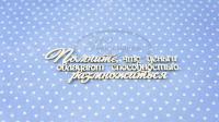ПРЕДЗАКАЗ! Чипборд Помните что деньги способны размножаться 2, Goldenchip