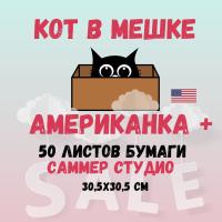 КОТ В МЕШКЕ! "АМЕРИКАНКА +" от Саммер Студио (Summer Studio)