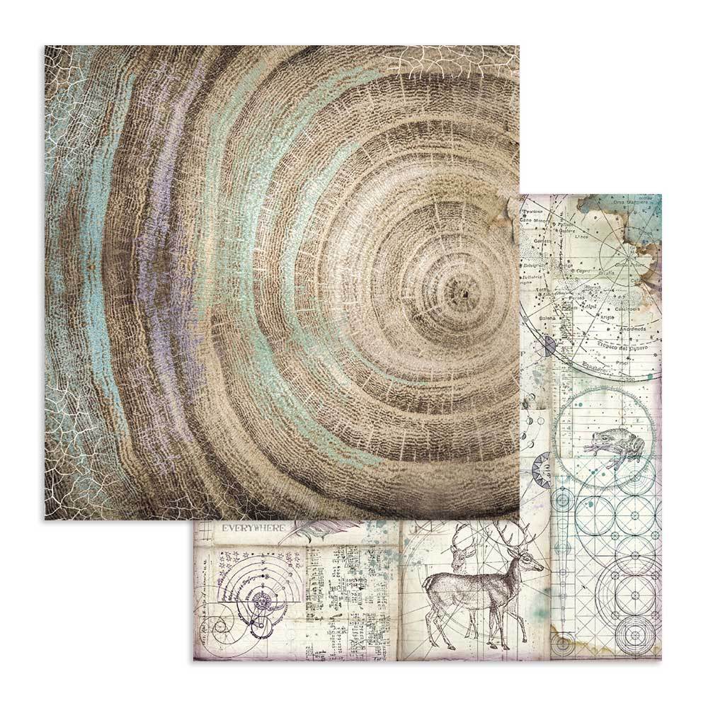 Лист двусторонней бумаги к коллекции Cosmos knots, 30,5х30,5 см, от Stamperia, SBB616