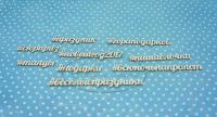 ПРЕДЗАКАЗ! Чипборд Новый год , Goldenchip