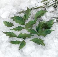 Набор "Листья остролиста" крафт, тёмно-зелёный, 12 шт, от Ваниной Оксаны