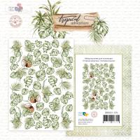 Высечки из коллекции Tropical adventure: Monstera leaves  DB0021-07b, от DreamLight Studio