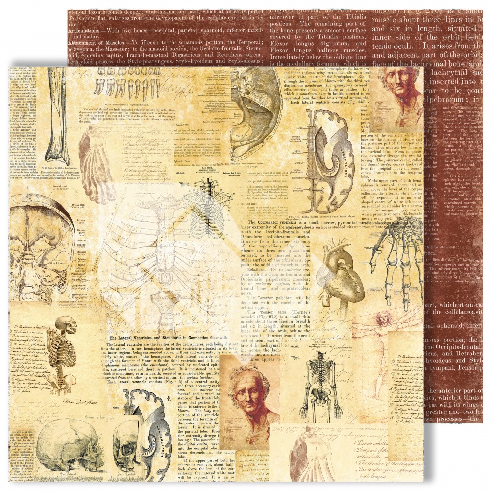Лист двусторонней бумаги "Письмена" из коллекции "Homo sapiens" от Dreamlight Studio, 30,5х30,5 см, пл. 250 г/м