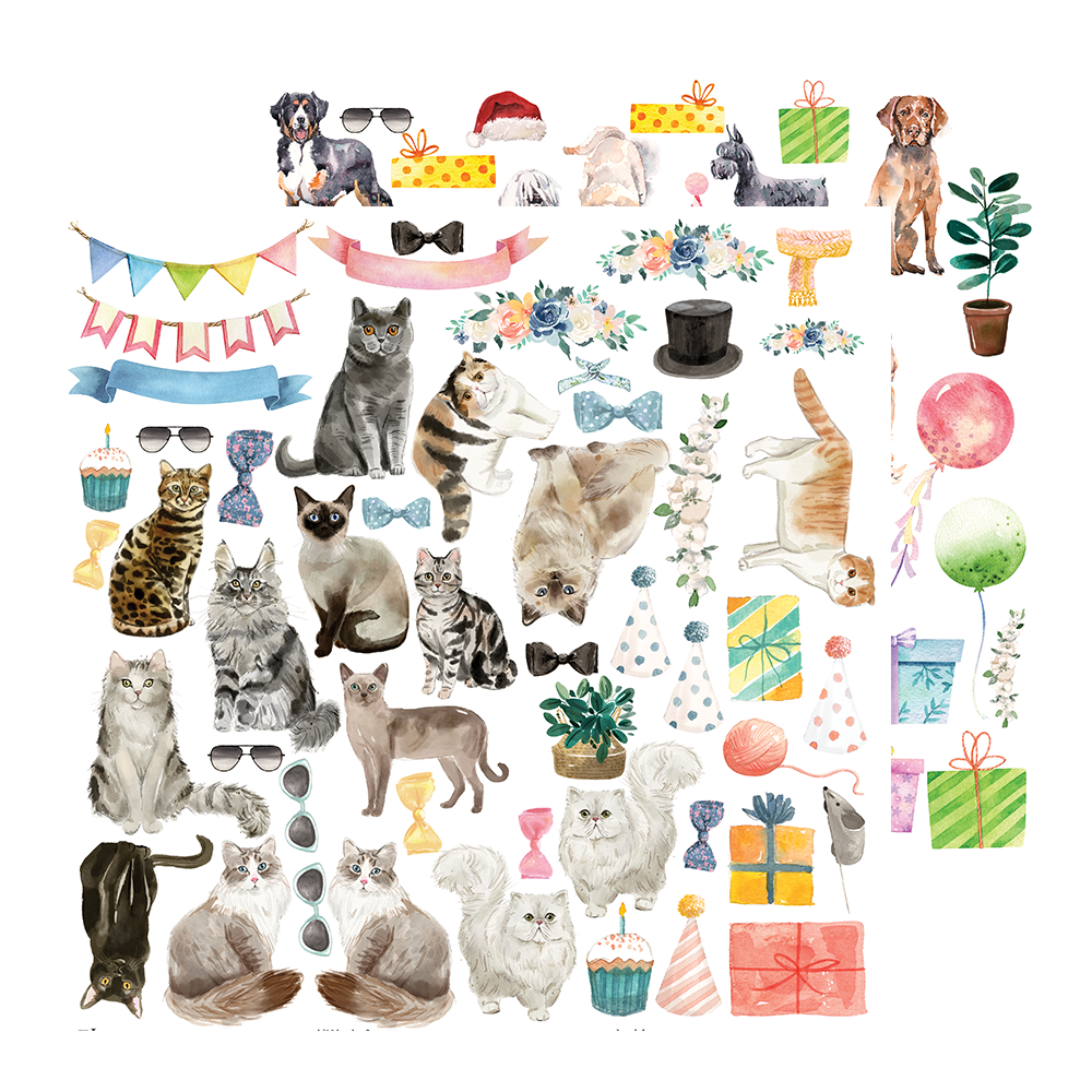 Paper pets. Бумажные коллекция кошек. Коллекция для бумажных коллекций животные. Бумажный зоомагазин. Pet лист.