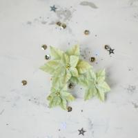 Мини набор цветов Пуансеттии зеленые Артикул: ПЗ0004-2, от Pastel Flowers