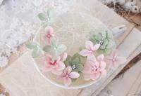 Гортензии ПЕРСИК 12 шт, от ME Flowers