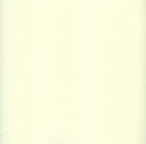 Бумага двухсторонняя для скрапбукинга, 30,3 х 30,3 см, 220 г/м?, цвет слоновая кость, Stamperia
