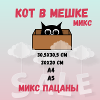 КОТ В МЕШКЕ! "ПАЦАН МИКС, подростковый"