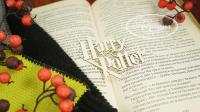 Чипборд надпись Harry Potter 1, коллекция Гарри Поттер 70х63мм, Goldenchip