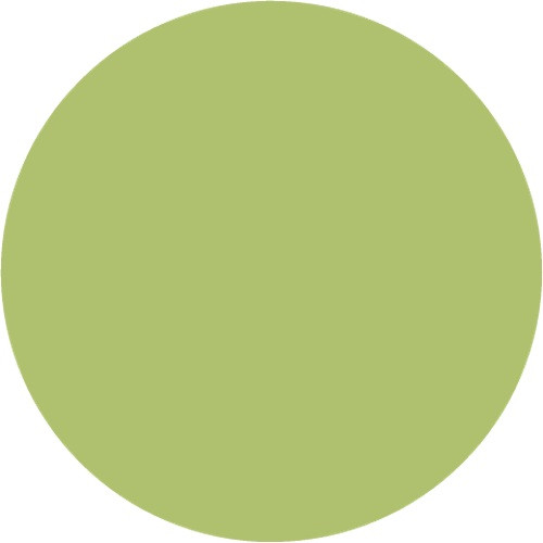 Матовая краска-спрей  Зелёный чай от ScrapEgo, 60 мл