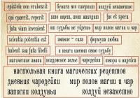 Фразы-высечки Записки колдуньи на русском и латыни, 23 элемента. Плотность 330 гр/м2, от Paper Blonde