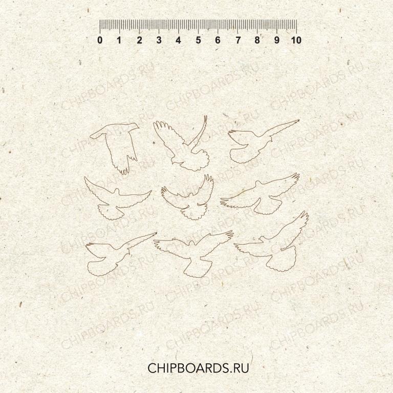 Птицы 3