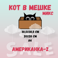КОТ В МЕШКЕ! "МИКС, Американка-2"
