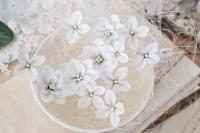 Гортензии БЕЛЫЕ 12 шт, от ME Flowers