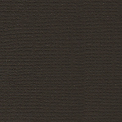 Текстурированный кардсток Горький шоколад (т.коричневый), 30,5х30,5 см, 216 г/кв.м, от Mr.Painter