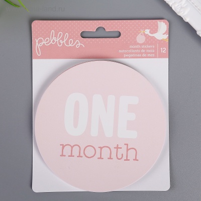 Наклейки с месяцами первого года жизни (12 шт.) - Girl - PEBBLES