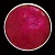 Акварель ColourArte Twinkling H20's - Ruby Red, 5гр