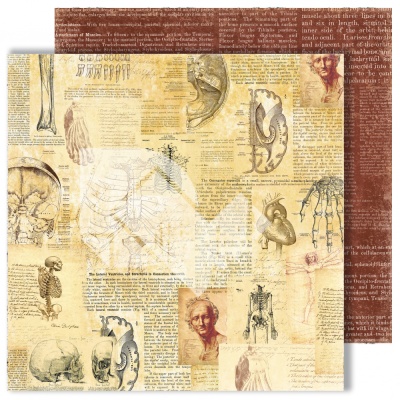 Набор бумаги "Homo sapiens", 20,3х20,3 см, 12 двусторонних листов, пл. 250 г/м2 от DreamLight Studio