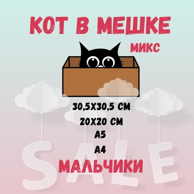 КОТ В МЕШКЕ! "МИКС, МАЛЬЧИКИ"