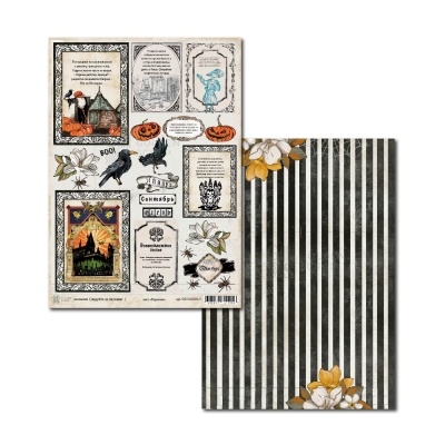 Набор двусторонней фоновой бумаги для скрапбукинга "Следуйте за пауками", плотность 235 г/м2, формат а4, 12 листов (6х2), БЕЗ ОБЛОЖКИ, арт. GS31102024