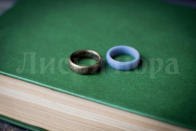 Миниатюра для творчества пластик Кольцо всевластия. Размер 15. Без окраски, Лисья нора