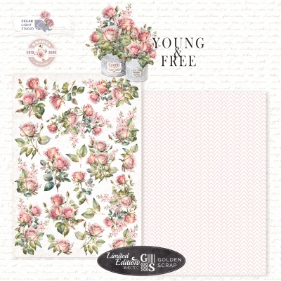 Набор для вырезания "Young and free" DBG_advent24-cut, A5, 18 двусторонних листов, пл. 190 г/м2, DreamLight Studio